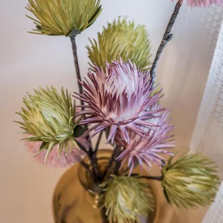 Montec-1 By Interhome Appartamento