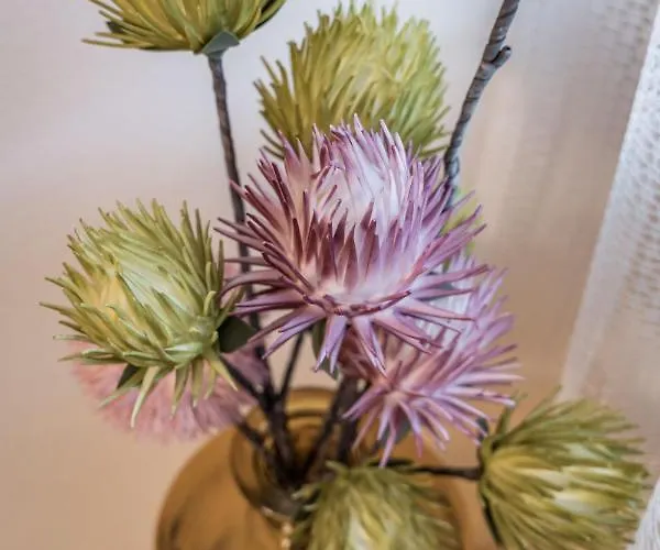 Montec-1 By Interhome Apartment